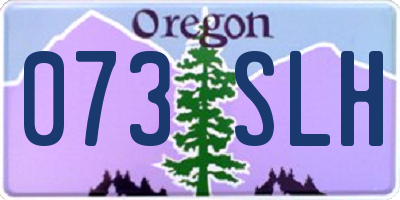 OR license plate 073SLH
