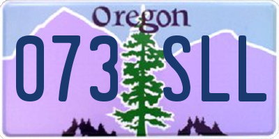 OR license plate 073SLL