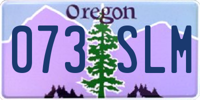 OR license plate 073SLM