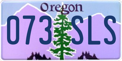 OR license plate 073SLS