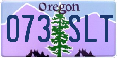OR license plate 073SLT