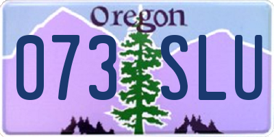 OR license plate 073SLU