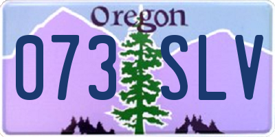 OR license plate 073SLV