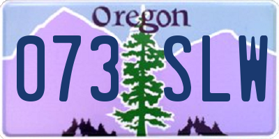 OR license plate 073SLW