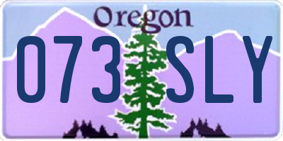 OR license plate 073SLY