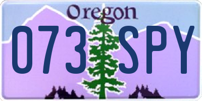 OR license plate 073SPY