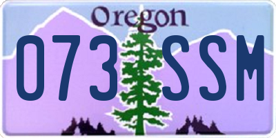 OR license plate 073SSM