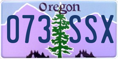 OR license plate 073SSX