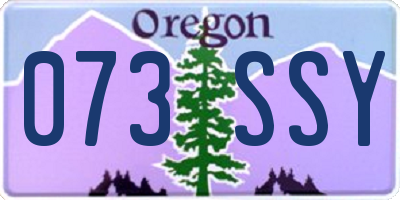 OR license plate 073SSY