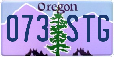OR license plate 073STG