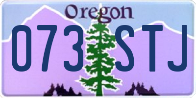 OR license plate 073STJ