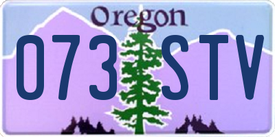 OR license plate 073STV