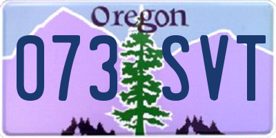 OR license plate 073SVT