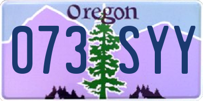OR license plate 073SYY