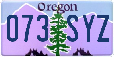 OR license plate 073SYZ