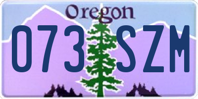 OR license plate 073SZM