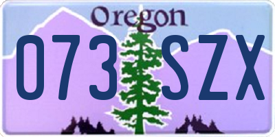 OR license plate 073SZX