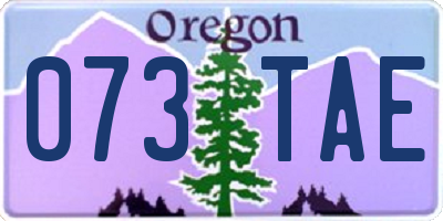 OR license plate 073TAE