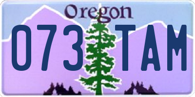 OR license plate 073TAM