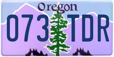 OR license plate 073TDR
