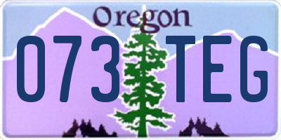 OR license plate 073TEG