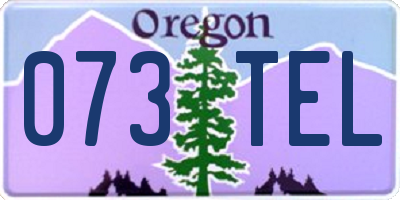 OR license plate 073TEL