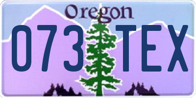 OR license plate 073TEX