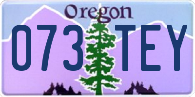 OR license plate 073TEY