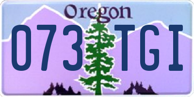 OR license plate 073TGI