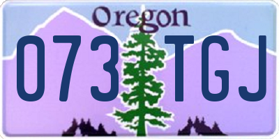 OR license plate 073TGJ