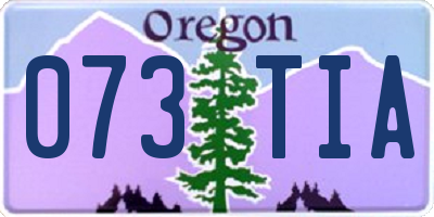 OR license plate 073TIA