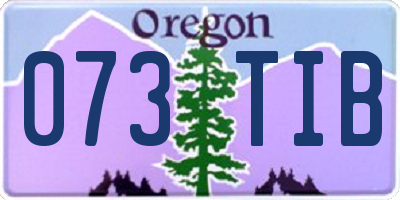 OR license plate 073TIB