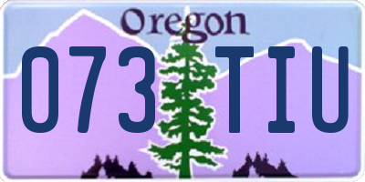 OR license plate 073TIU