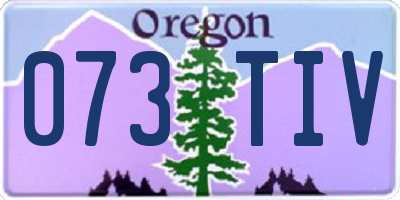 OR license plate 073TIV