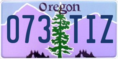OR license plate 073TIZ