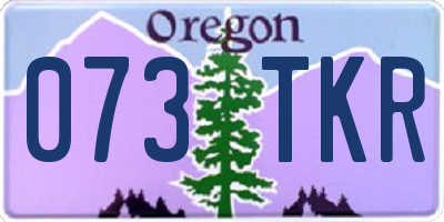 OR license plate 073TKR