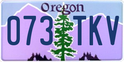 OR license plate 073TKV
