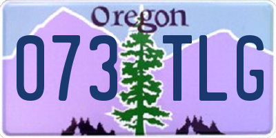 OR license plate 073TLG