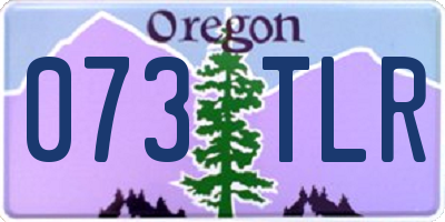 OR license plate 073TLR