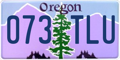 OR license plate 073TLU