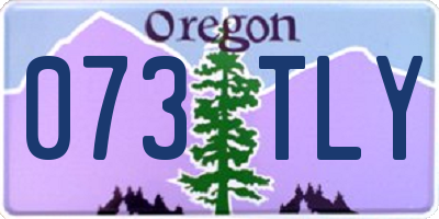 OR license plate 073TLY