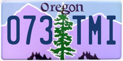 OR license plate 073TMI