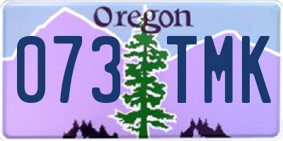 OR license plate 073TMK