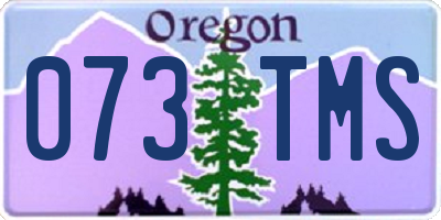 OR license plate 073TMS