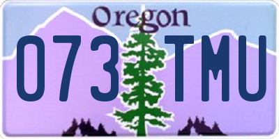 OR license plate 073TMU
