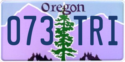 OR license plate 073TRI