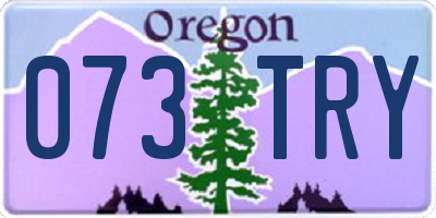 OR license plate 073TRY