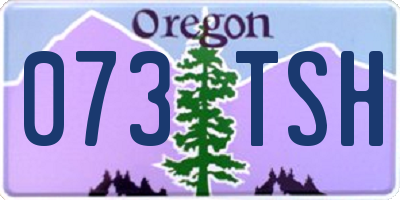 OR license plate 073TSH