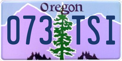 OR license plate 073TSI