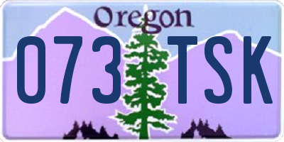OR license plate 073TSK